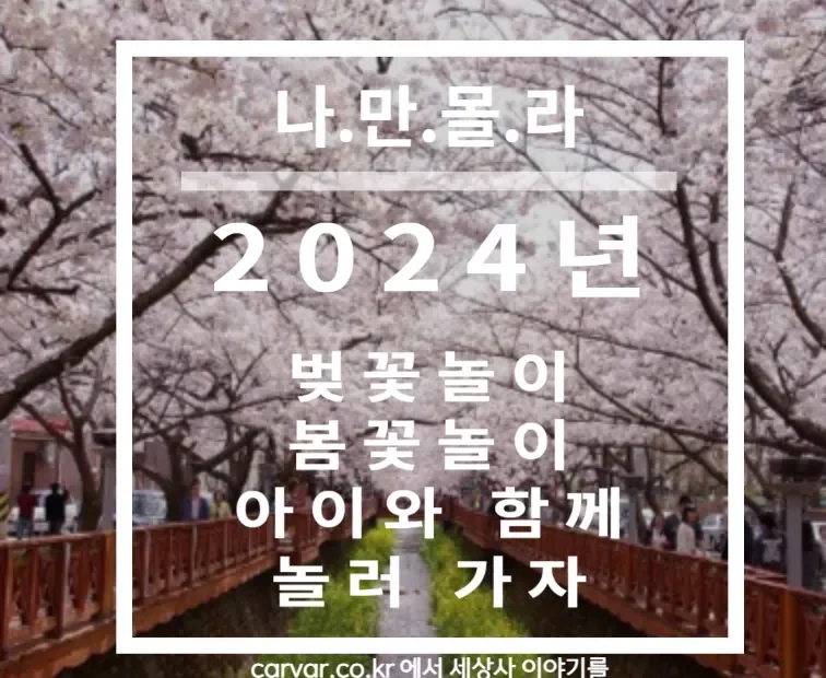 2024 벚꽃놀이 봄꽃놀이 축제정보 썸네일