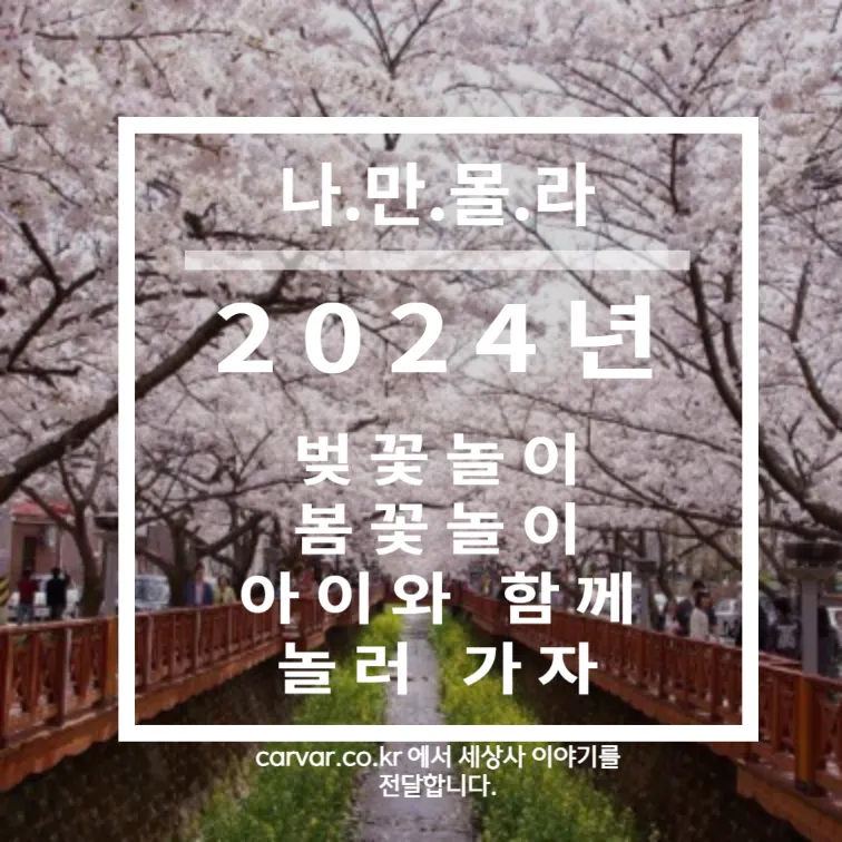 2024 벚꽃놀이 봄꽃놀이 축제정보 썸네일