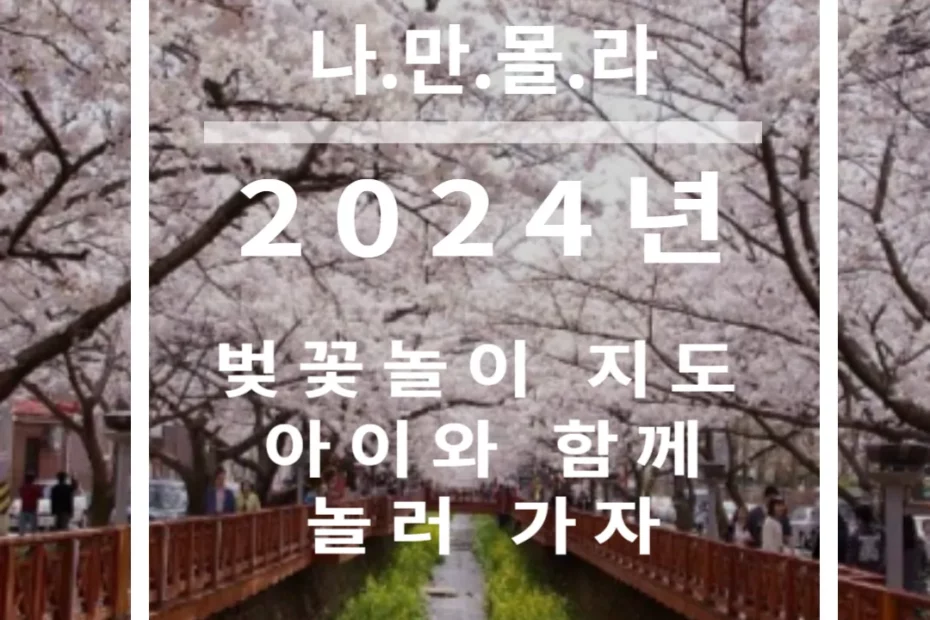 2024년 벚꽃 대표 명소 썸네일