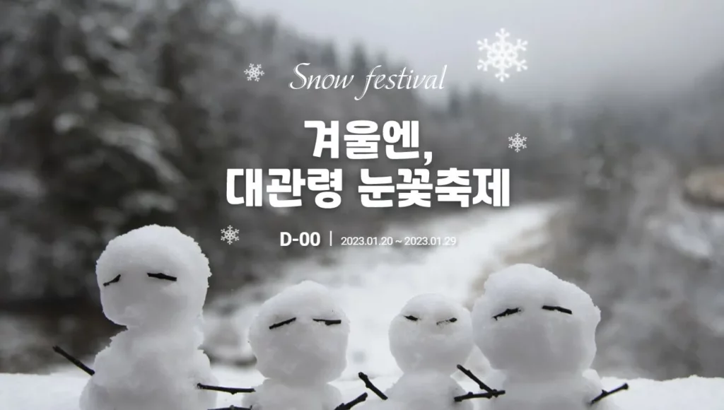 24년 강원도 축제 대관령 눈꽃축제